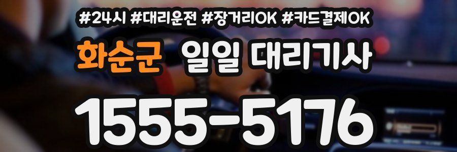 화순군 일일 대리기사