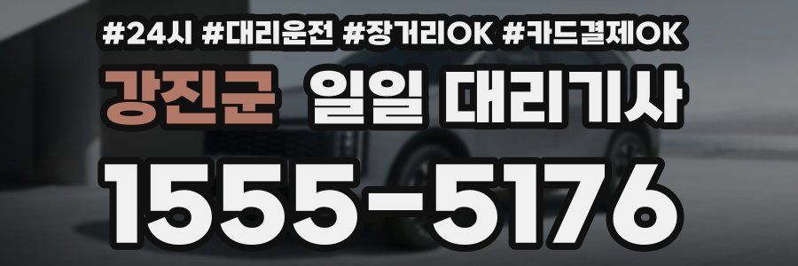 강진군 일일 대리기사