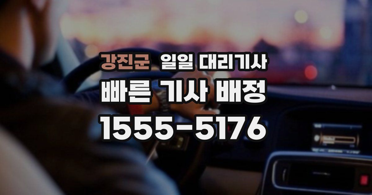강진군 일일 대리기사