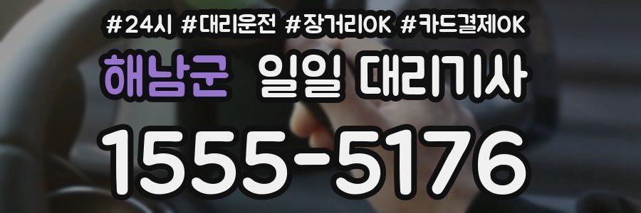 해남군 일일 대리기사