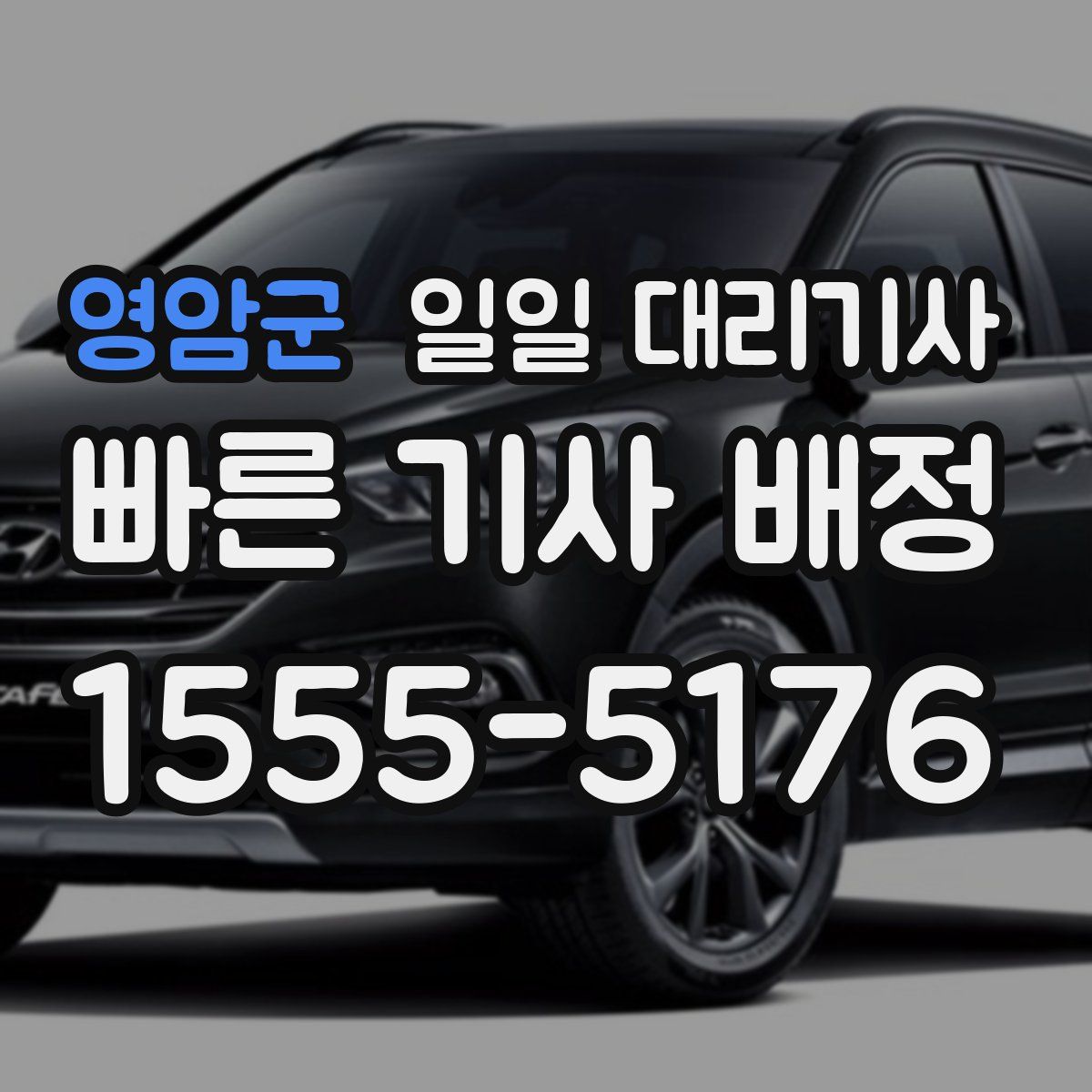 영암군 일일 대리기사