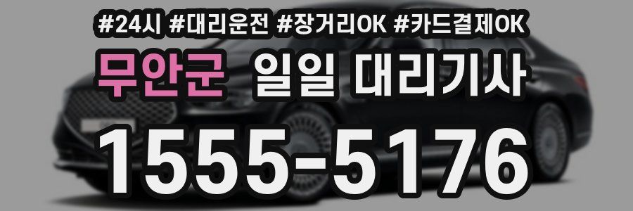 무안군 일일 대리기사