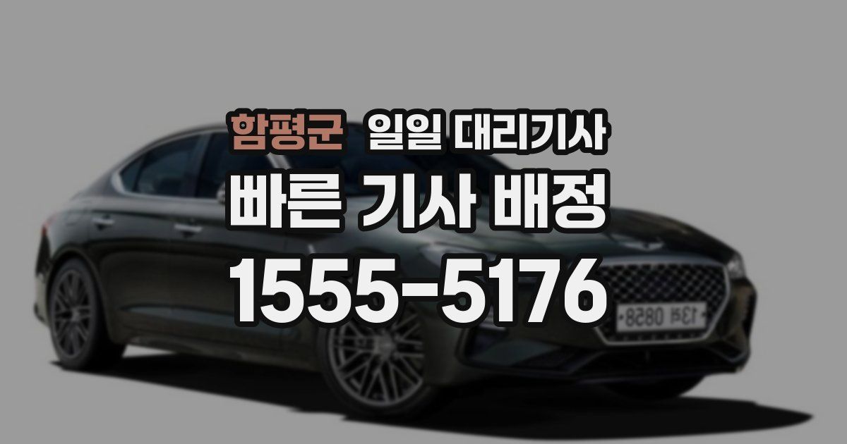 함평군 일일 대리기사
