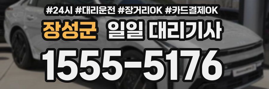 장성군 일일 대리기사