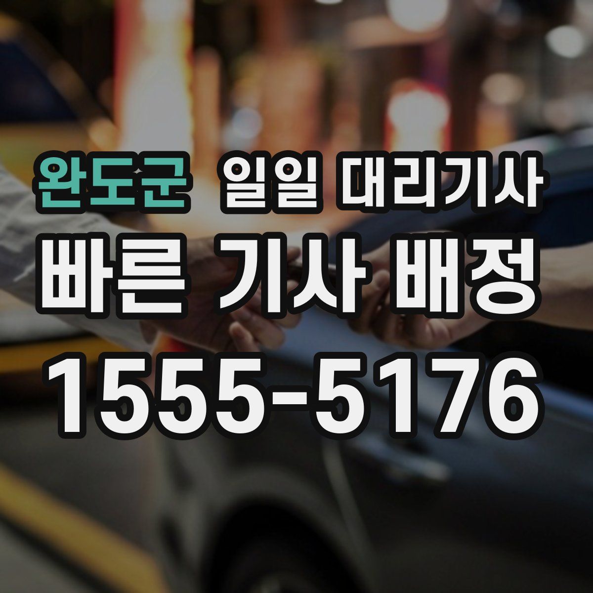 완도군 일일 대리기사