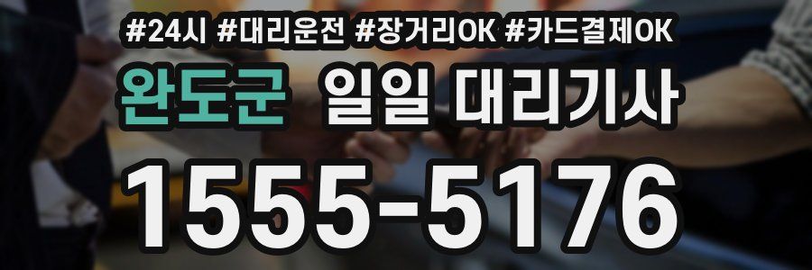 완도군 일일 대리기사