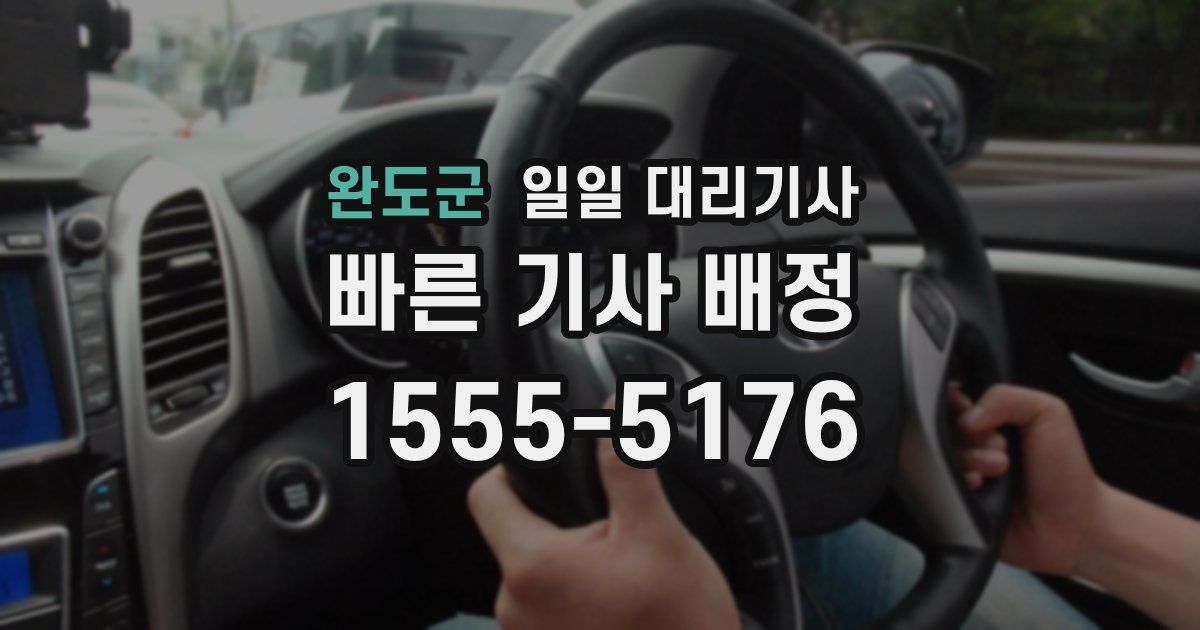 완도군 일일 대리기사