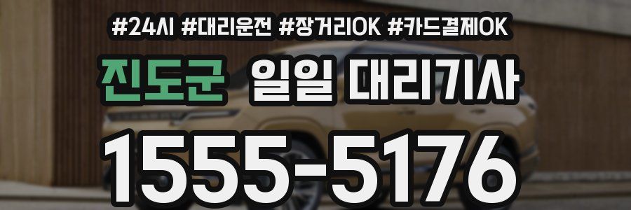 진도군 일일 대리기사