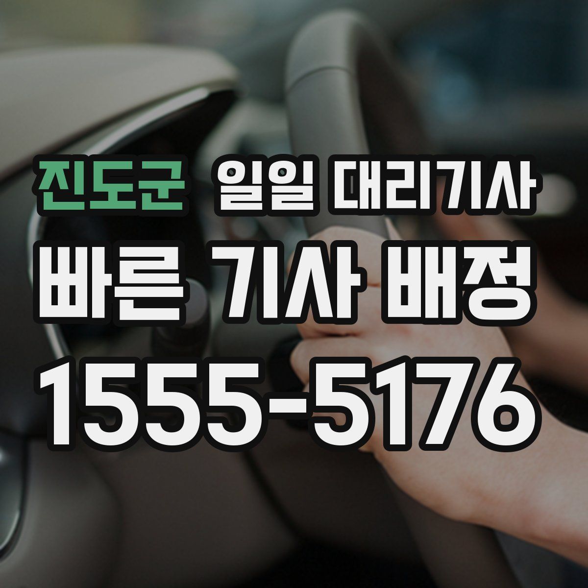진도군 일일 대리기사