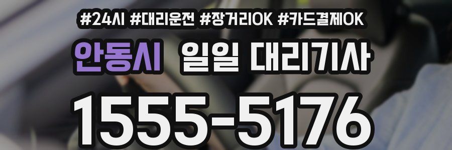 안동시 일일 대리기사