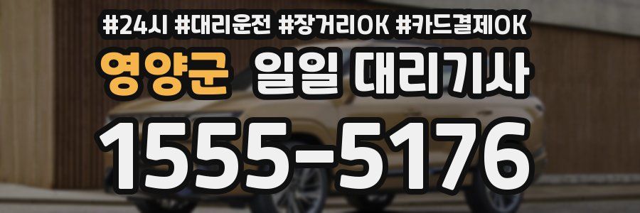 영양군 일일 대리기사