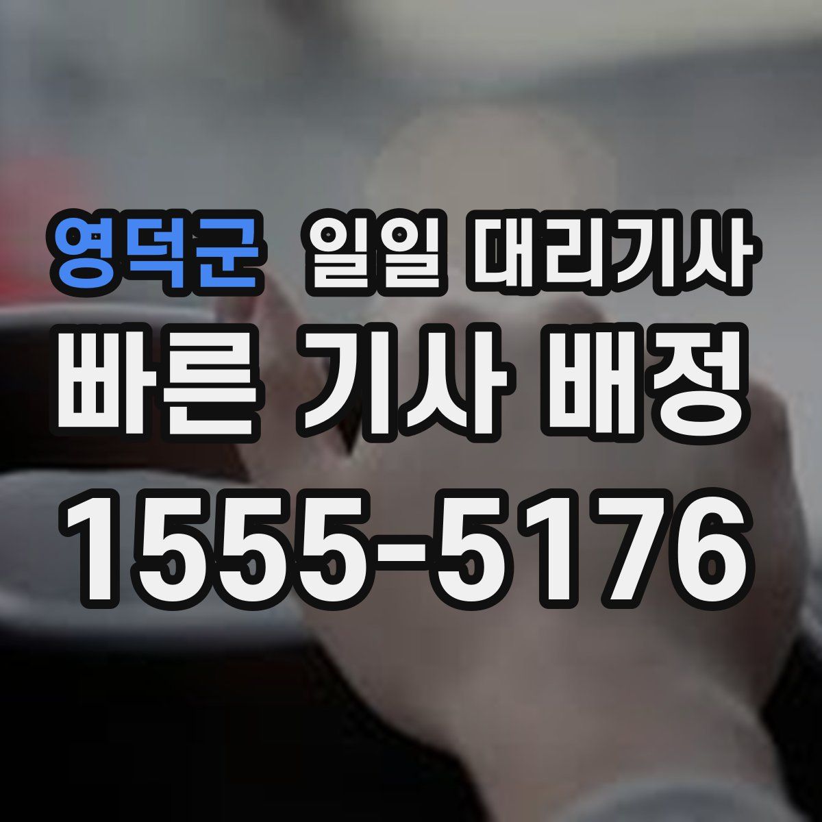영덕군 일일 대리기사
