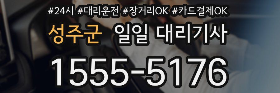 성주군 일일 대리기사