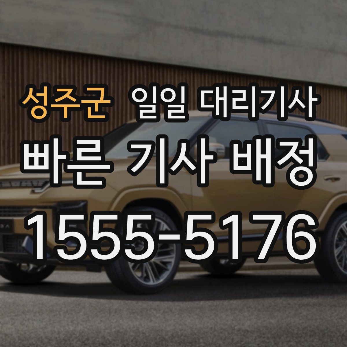 성주군 일일 대리기사