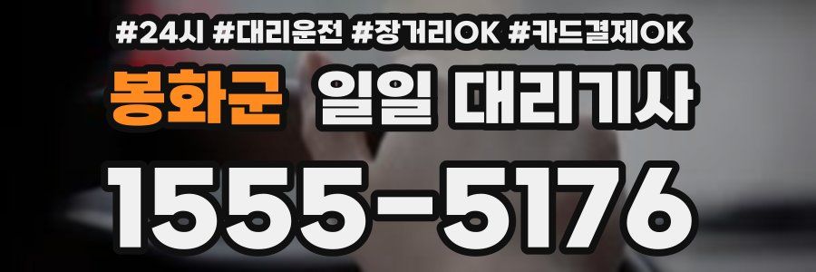 봉화군 일일 대리기사