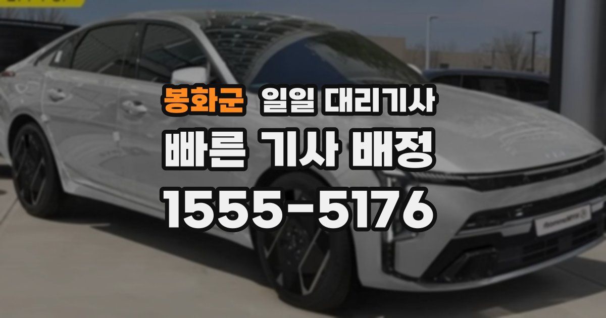 봉화군 일일 대리기사