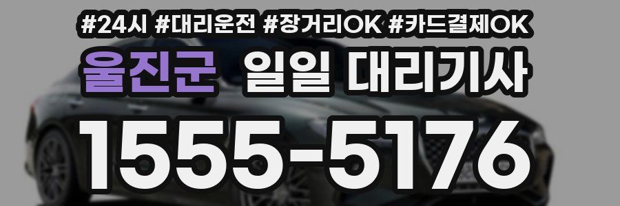 울진군 일일 대리기사
