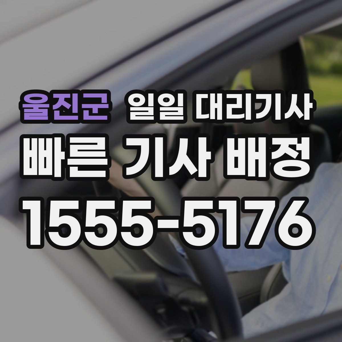 울진군 일일 대리기사