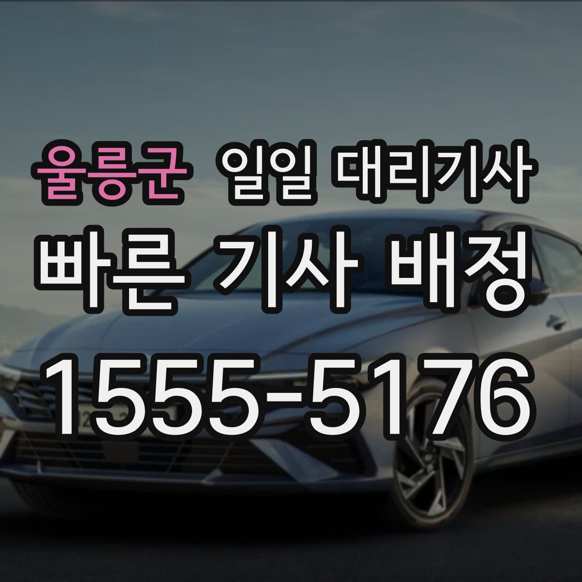 울릉군 일일 대리기사