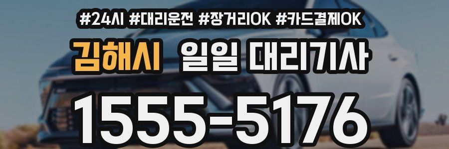 김해시 일일 대리기사