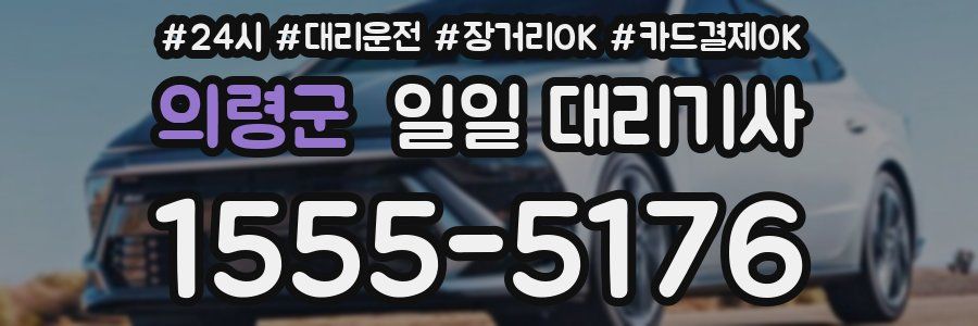 의령군 일일 대리기사