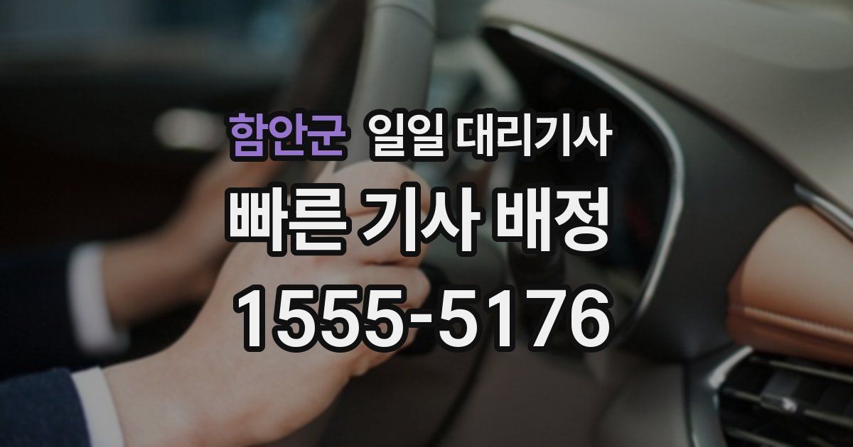 함안군 일일 대리기사