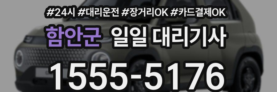 함안군 일일 대리기사