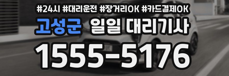 고성군 일일 대리기사