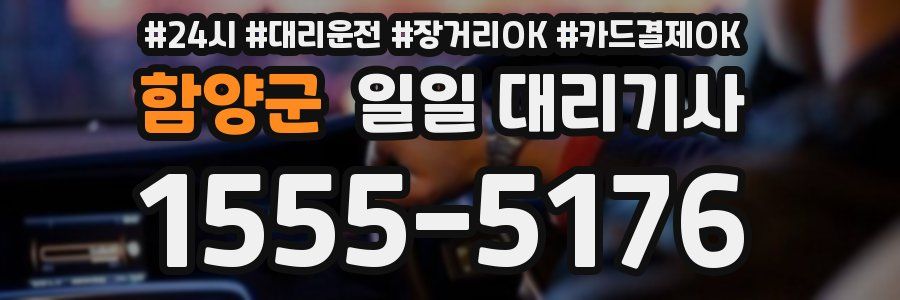함양군 일일 대리기사