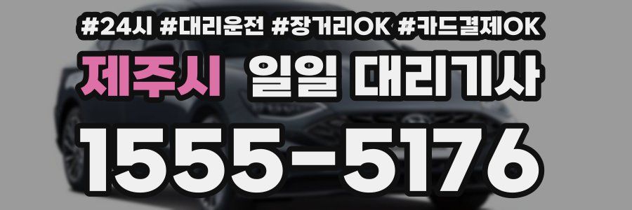 제주시 일일 대리기사