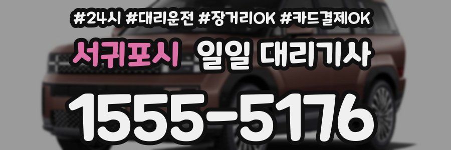 서귀포시 일일 대리기사