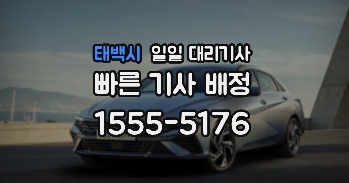 태백시 일일 대리기사