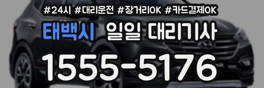 태백시 일일 대리기사