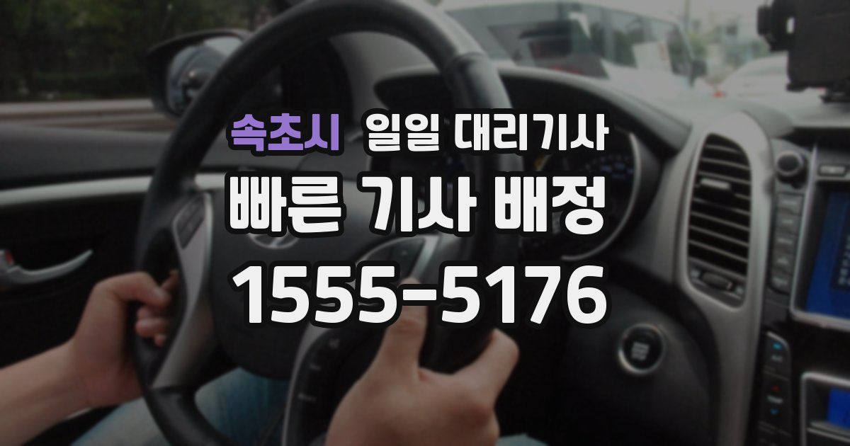 속초시 일일 대리기사