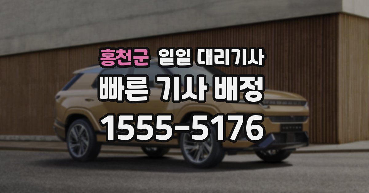 홍천군 일일 대리기사
