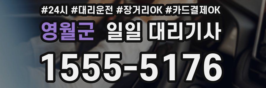 영월군 일일 대리기사