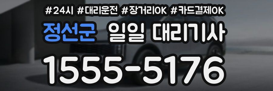 정선군 일일 대리기사