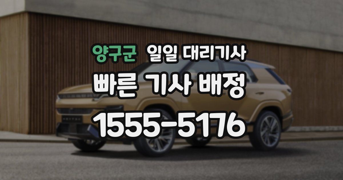 양구군 일일 대리기사