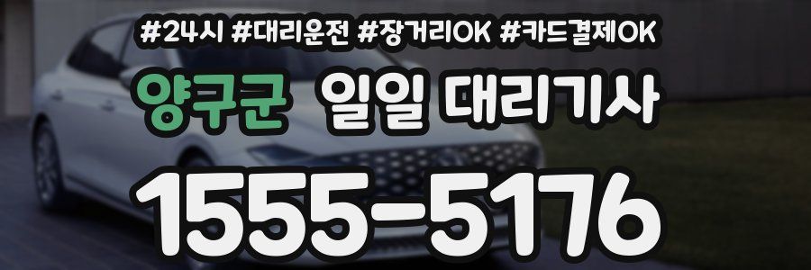 양구군 일일 대리기사