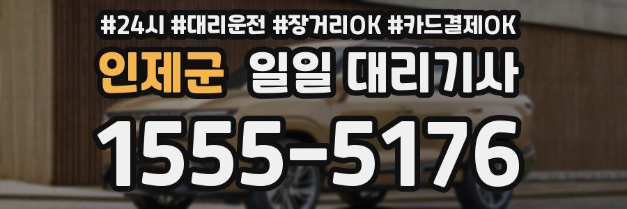 인제군 일일 대리기사