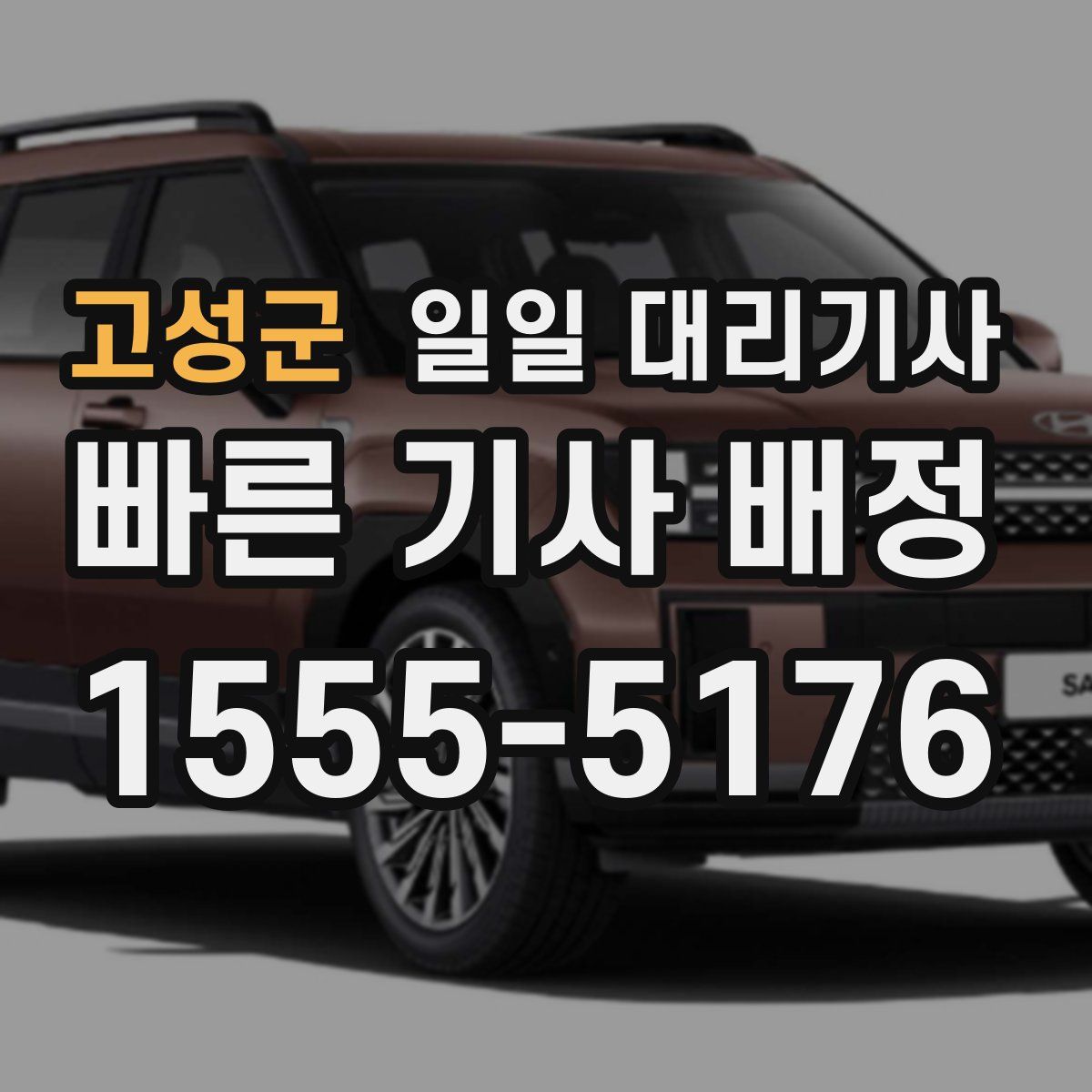 고성군 일일 대리기사