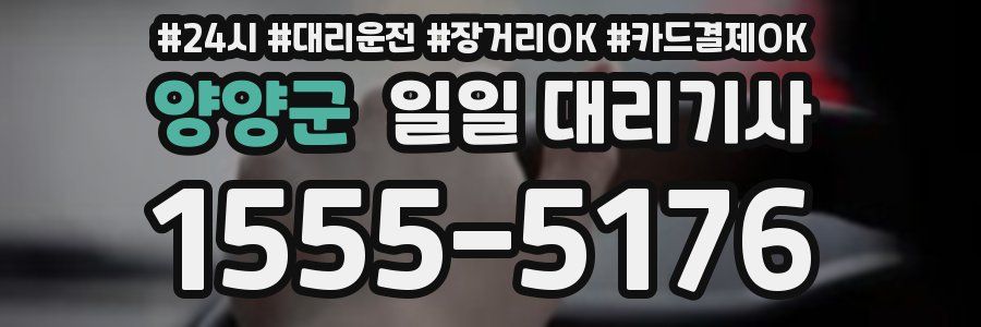 양양군 일일 대리기사