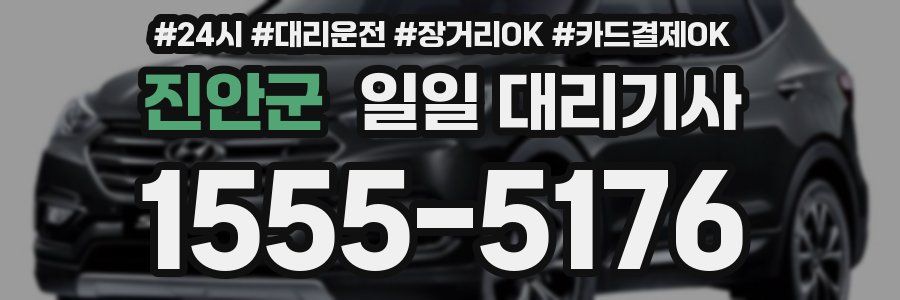 진안군 일일 대리기사