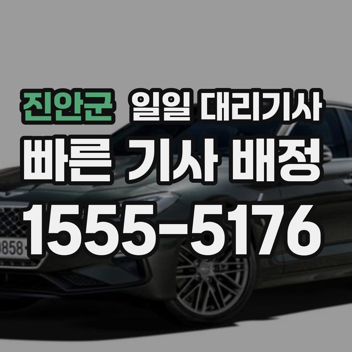 진안군 일일 대리기사