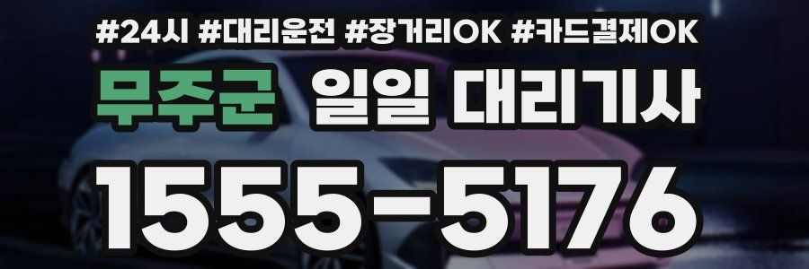 무주군 일일 대리기사