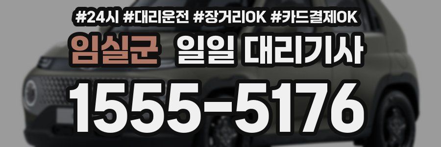 임실군 일일 대리기사