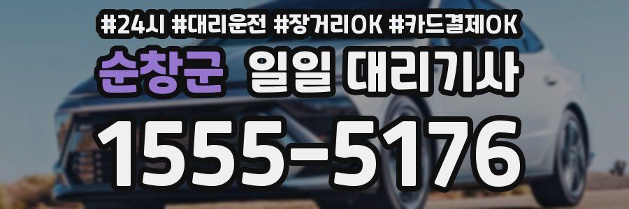 순창군 일일 대리기사