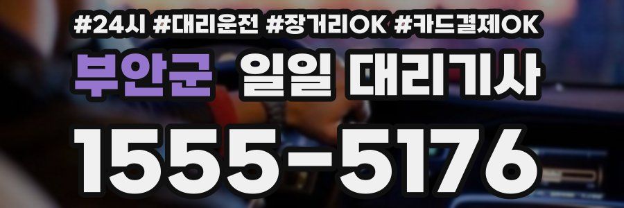 부안군 일일 대리기사