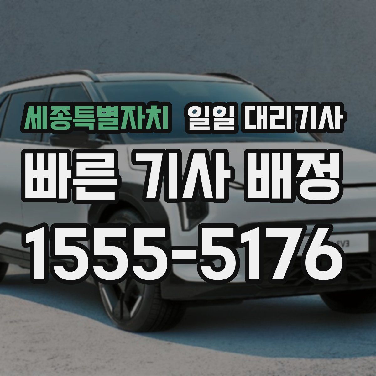 세종특별자치 일일 대리기사