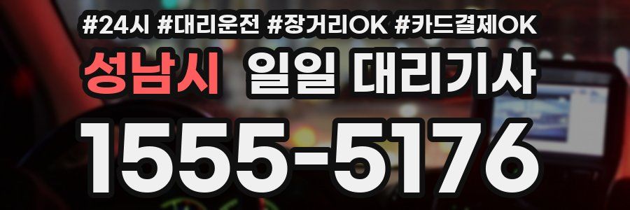 성남시 일일 대리기사